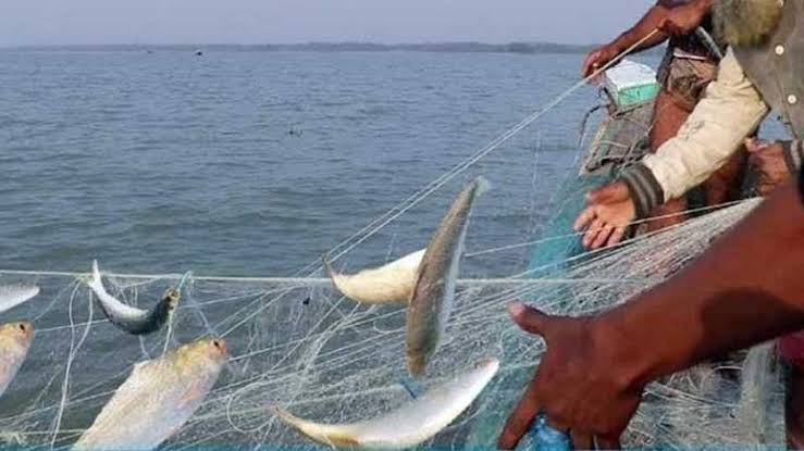 মেঘনায় ইলিশ শিকারের দায়ে ছয় জেলের কারাদণ্ড