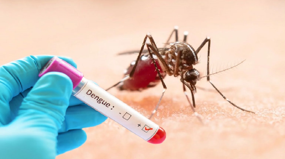 ডেঙ্গুতে একদিনে ৭ মৃত্যু, হাসপাতালে ১১৩৯