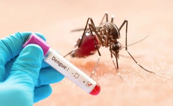১দিনে ডেঙ্গুতে ৭ জনের মৃত্যু, শনাক্ত আরও ১২১১