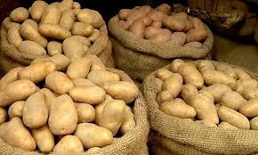 কৃষকের ২৮ টাকার আলু বিক্রি হচ্ছে ৭০ টাকায়