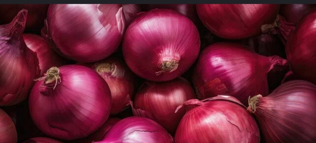 ভারত থেকে বাংলাবান্ধা দিয়ে ১৮০ টন পেঁয়াজ আমদানি