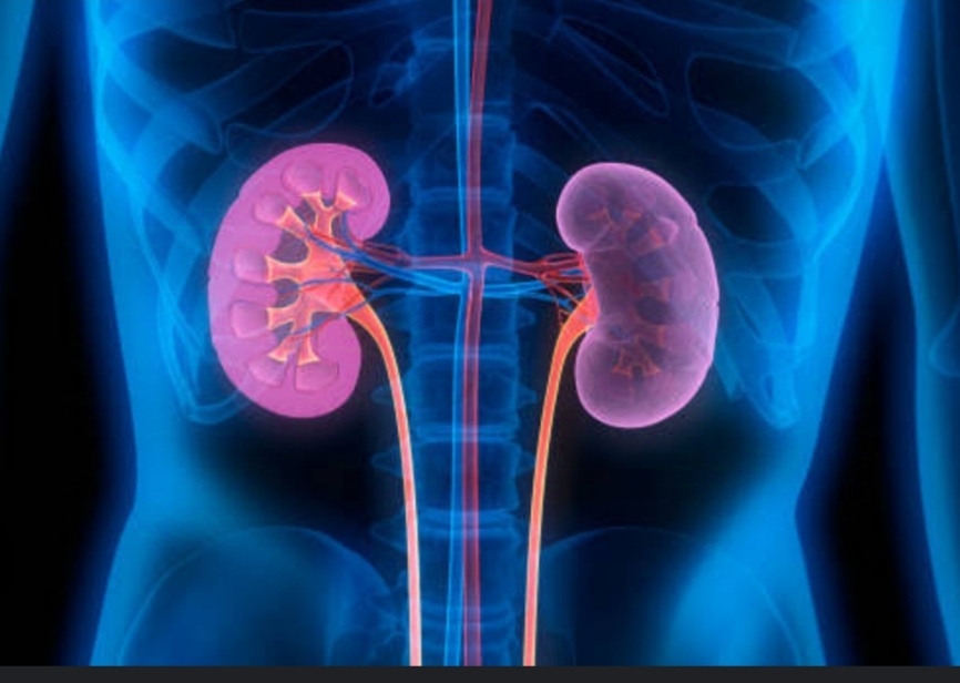 কিডনি সমস্যায় ভুগছেন না তো? এই লক্ষণগুলো লক্ষ্য করুন!