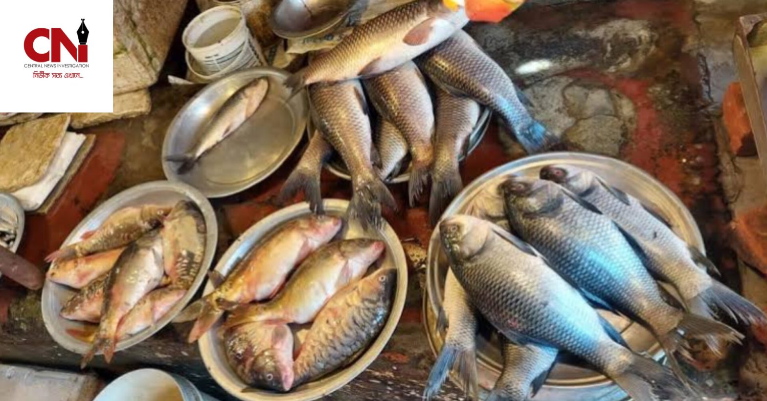 ভরপুর মাছের বাজারেও দামে অস্বস্তি, স্থিতিশীল গরু-মুরগির মাংস