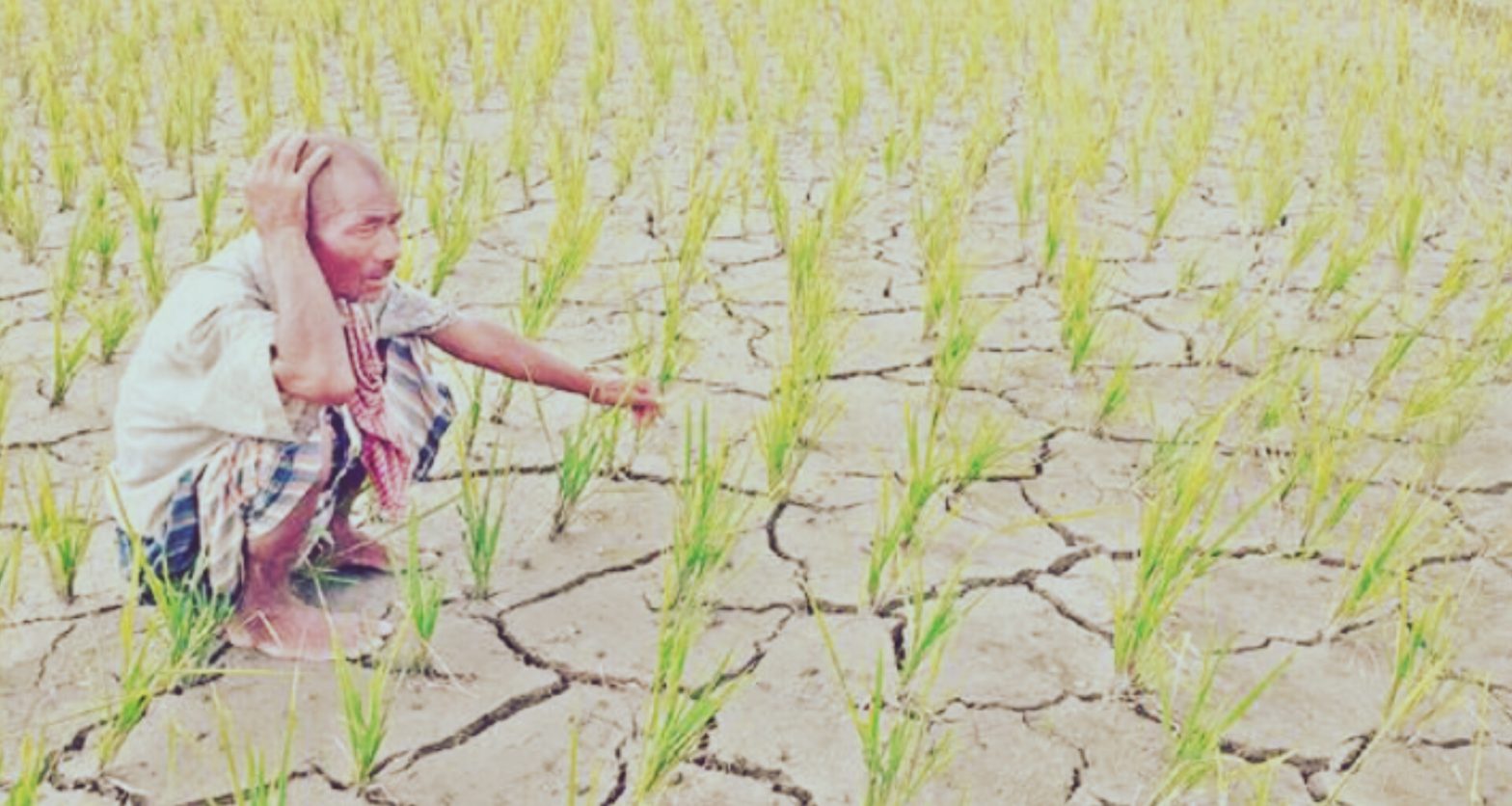 জলবায়ু পরিবর্তনের গভীর প্রভাব আবহাওয়ায়, আসছে তীব্র গরম-তাপপ্রবাহ