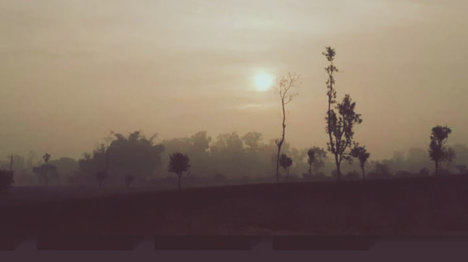 সারাদেশে বাড়বে রাত ও দিনের তাপমাত্রা