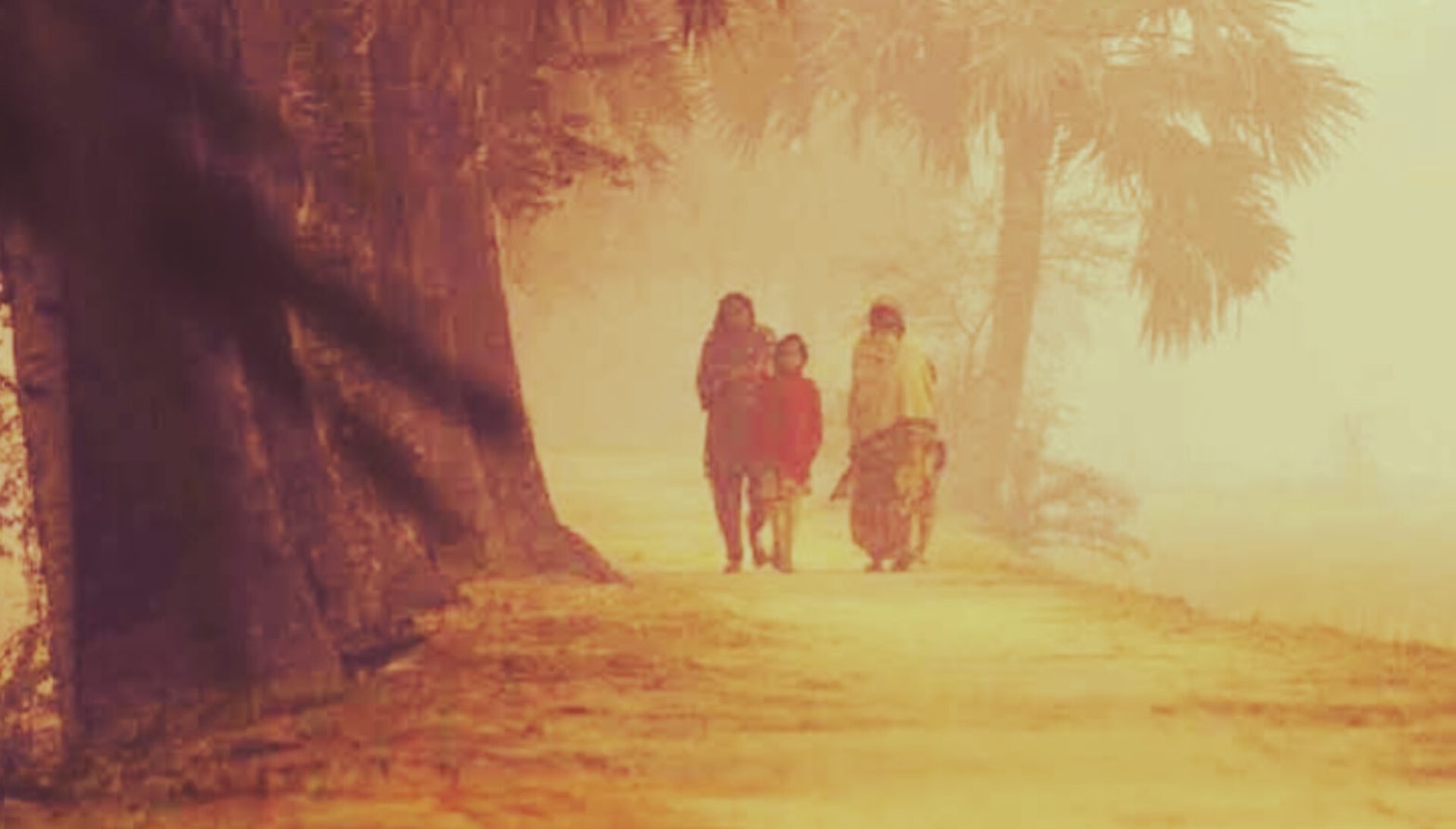 বাড়ছে তাপমাত্রা, বিদায় নিচ্ছে শীত